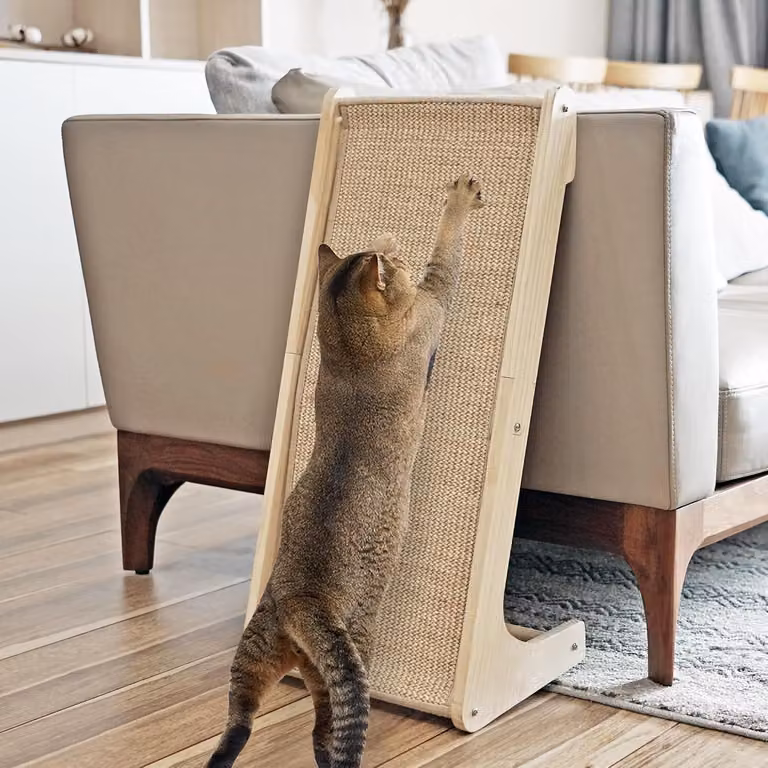 Albero per gatti, in feltro e legno, per gatti domestici