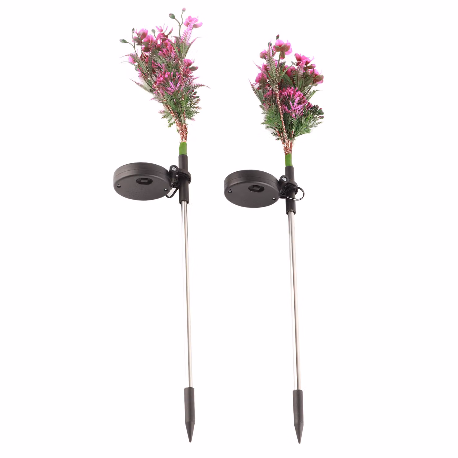 Luce solare, luci solari del fiore, luci del prato, luce all'aperto, luci decorative della Phalaenopsis