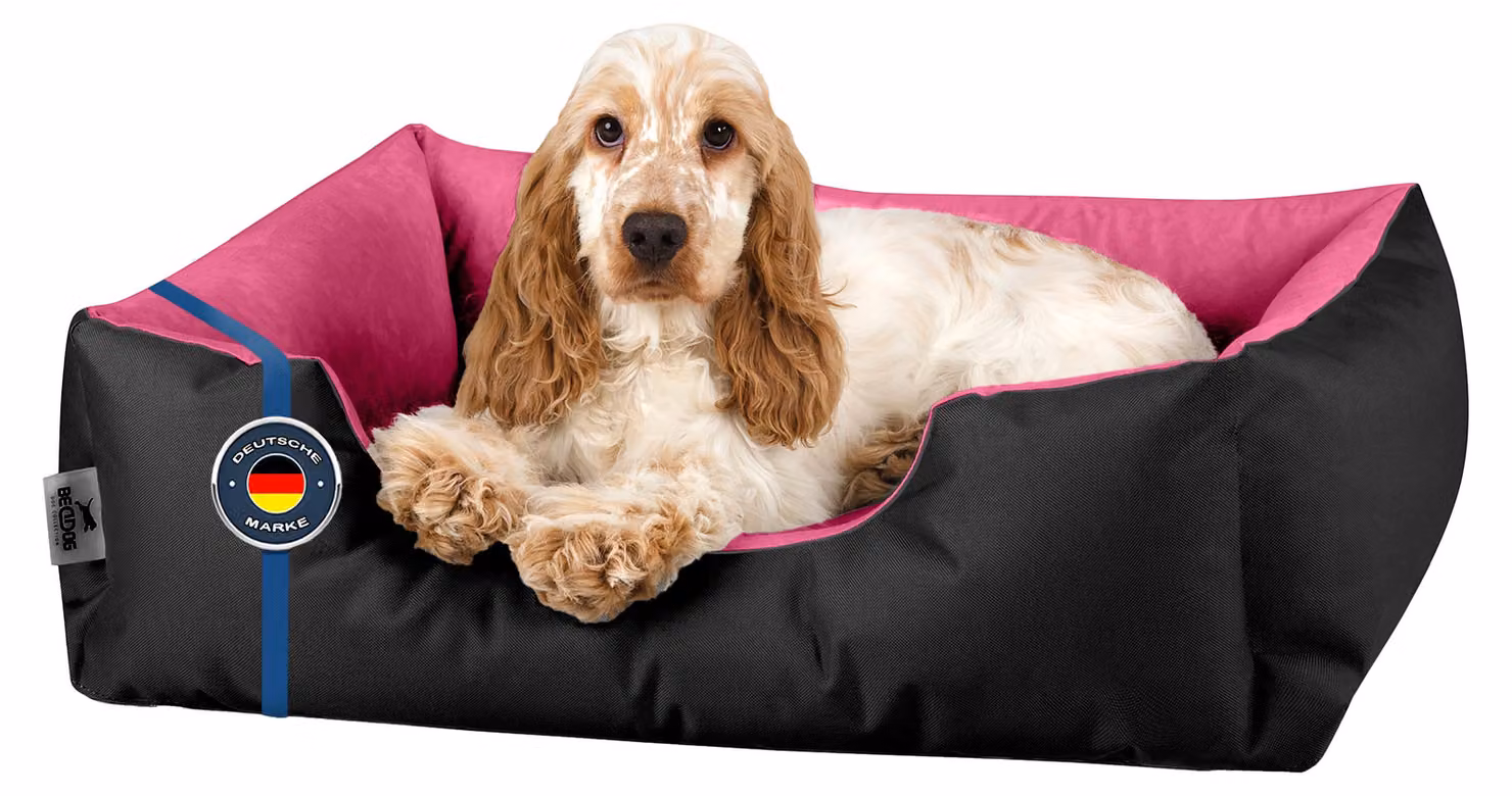 Lettino per cani BedDog LUPI, divanetto per cani, cuscino lavabile, BLACK-PASSION (nero/rosa), (S) ca. 55x40x17 cm