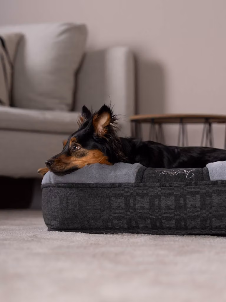 TrendPet LunaLounge letto per cani grigio (66x56x18cm)