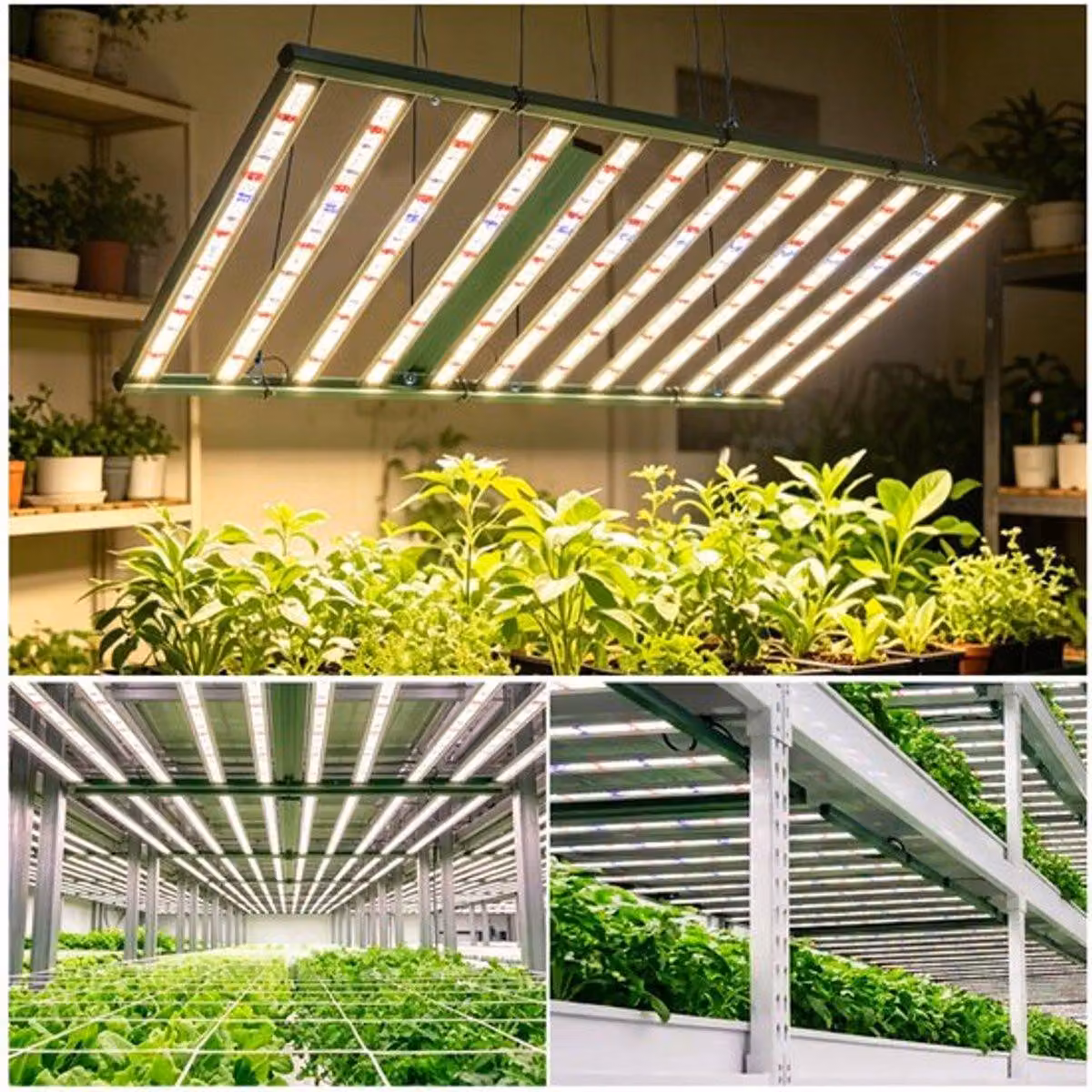 Lampada di coltivazione a LED - 1320W - Spettro completo - Dimmerabile - Pieghevole