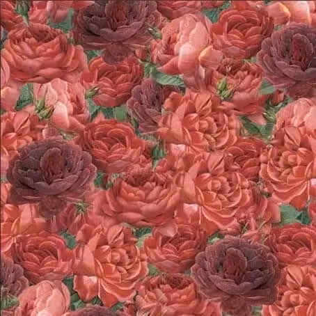Carta origami 15x15 cm 24K Roses