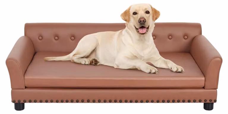 Divano-cuccia per animali domestici - Impermeabile, tipo divano, per cani - Cuccia-divano confortevole per animali domestici - Con cuscino rimovibile - Taglia XL