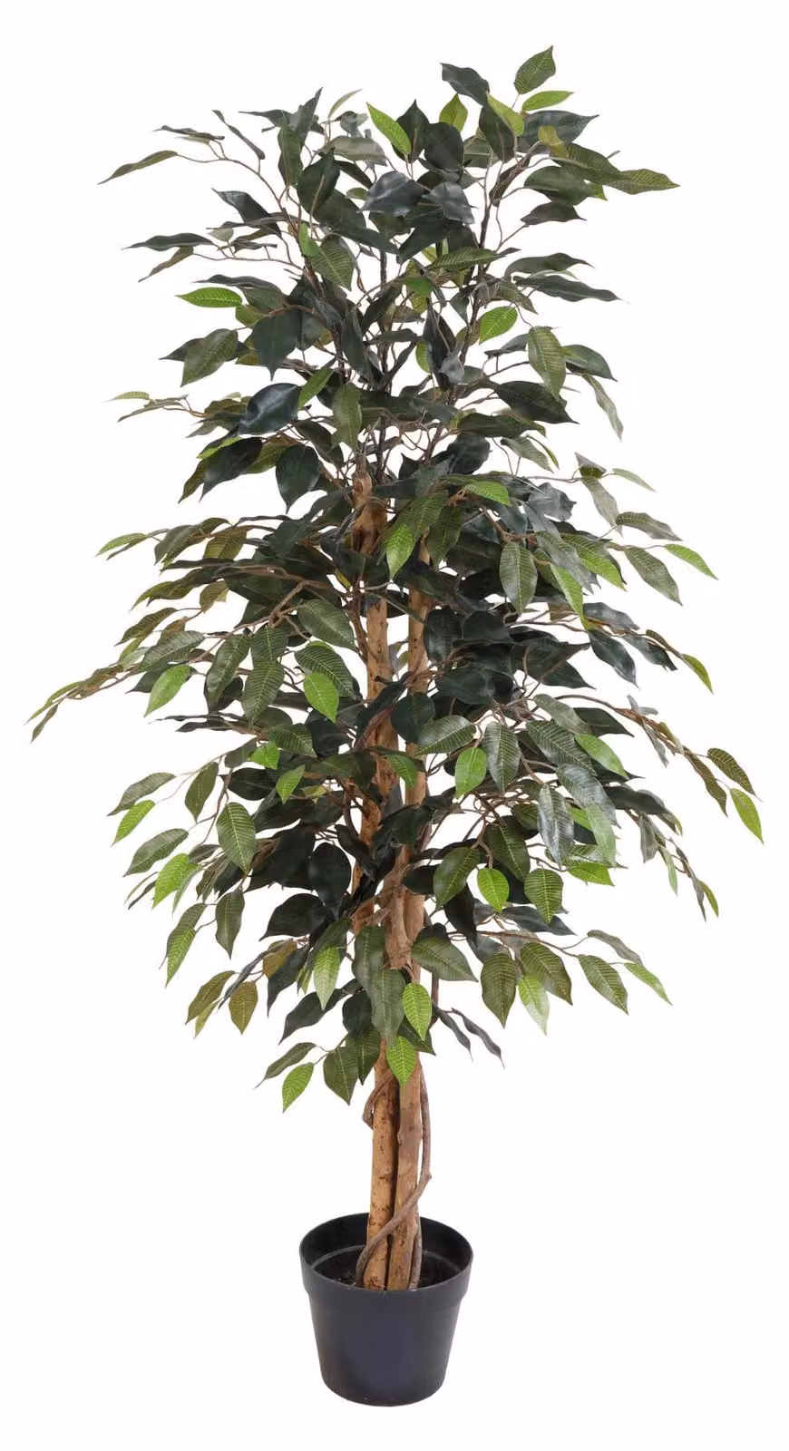 Ficus Benjamina artificiale (albero di fico) da 130cm in vaso - pianta