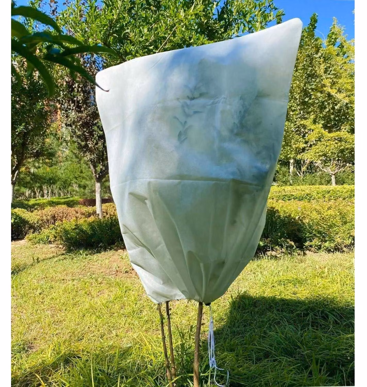 Copertura protettiva per piante, invernale, 100 x 120 cm, in tessuto non tessuto di polipropilene