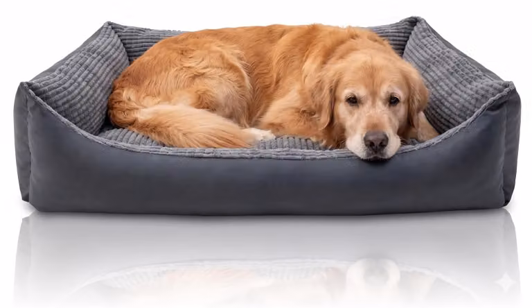 Cuccia per cani, dimensioni 100 x 70 cm, adatta a cani di grossa taglia, con rivestimento impermeabile removibile, lavabile e resistente