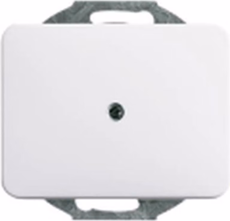 Busch-Jaeger Disco centrale cieco con anello di supporto Busch-Jaeger 1742-24G bianco studio, 1 pz.