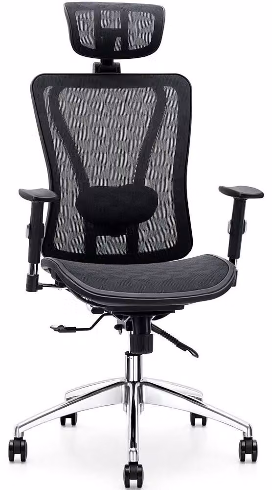 Sedia da ufficio ergonomica con supporto lombare regolabile