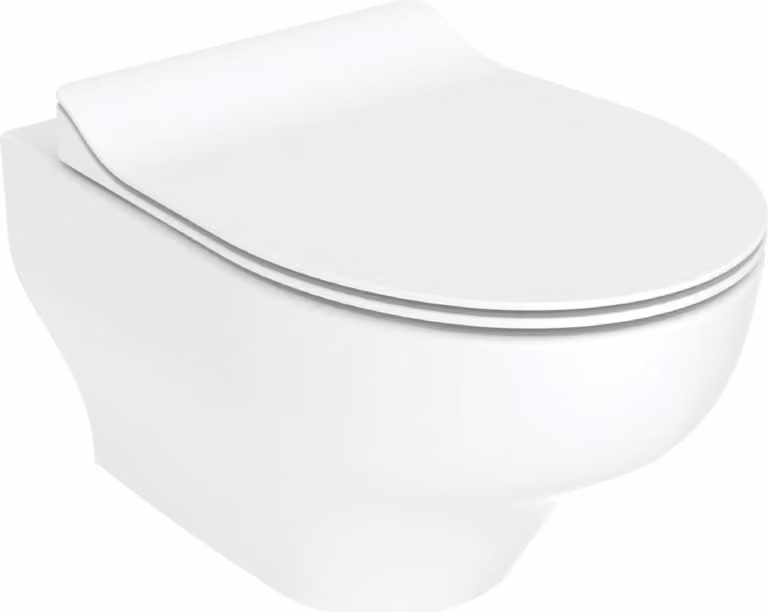 Water WC a muro NESS con funzione bidet, sistema di scarico Tornado, senza brida, senza rubinetto bidet, senza sedile, bianco lucido