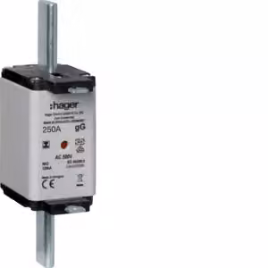 Cartuccia fusibile NH NH2C gG 500 V 250 A con segnalatore combinato e linguetta isolata