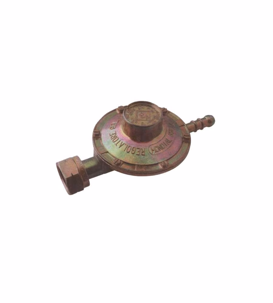 Regolatore Gas Bp Orizzontale Fisso Kg/H 1,0