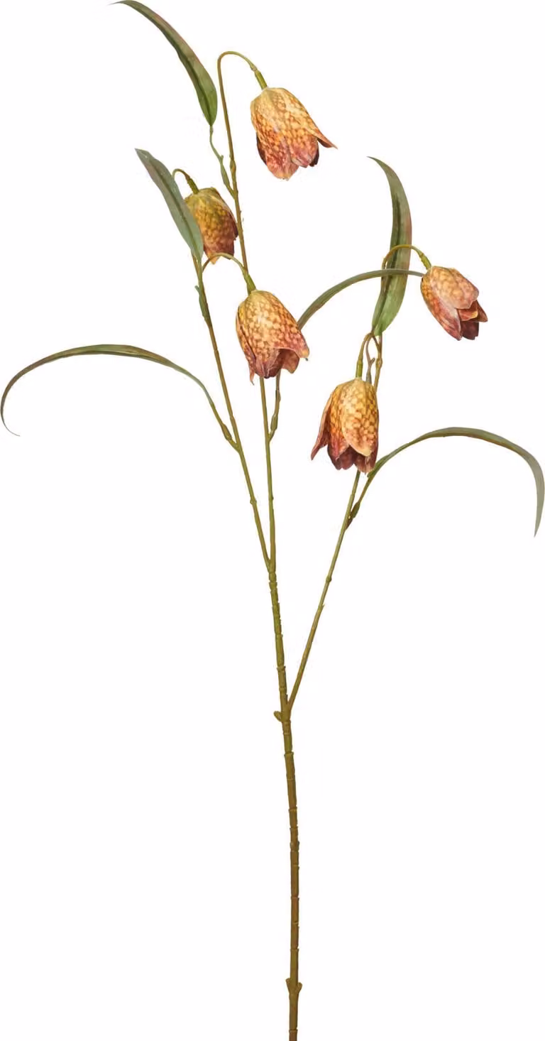 Ramo decorativo artificiale di ribes, 59 cm, giallo-verde, H&L