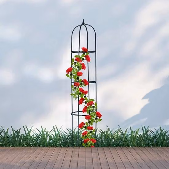 Arco per giardino e piante rampicanti in metallo nero per rose, pomodori e zucchine