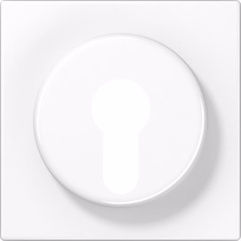 Coperchio Jung aws per interruttore a chiave LS 928 WW