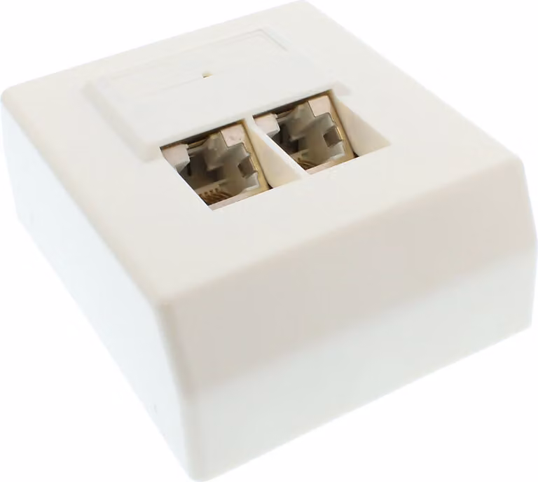 InLine® 74202 Scatola di giunzione Cat.5e, montaggio esterno 2x prese RJ45, RAL 9010, bianco