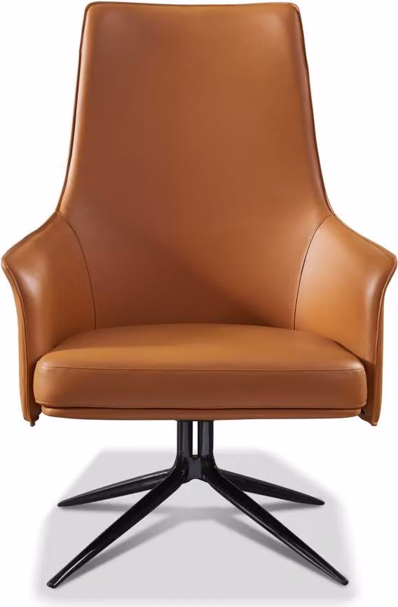 Lounge Luxus Fernseh Club Polster Sitzer Design Sessel Couch Sofa Relax