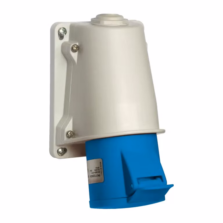 Presa a muro Schneider Electric CEE con morsetti a taglio, 32 A, 2 poli + terra, 200-250 V CA PKY32W423