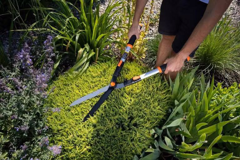 Forbici Strend Pro KT3833A, da giardino, per siepi, Alluminio, telescopiche