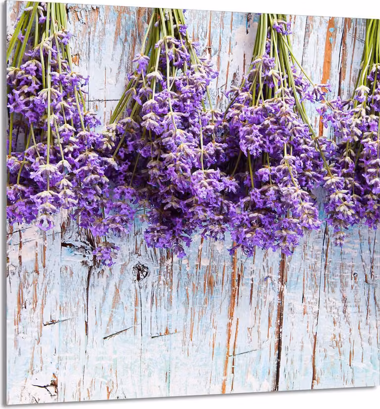 PIASTRELLE IN VETRO PER CUCINA 60x65 Lavanda