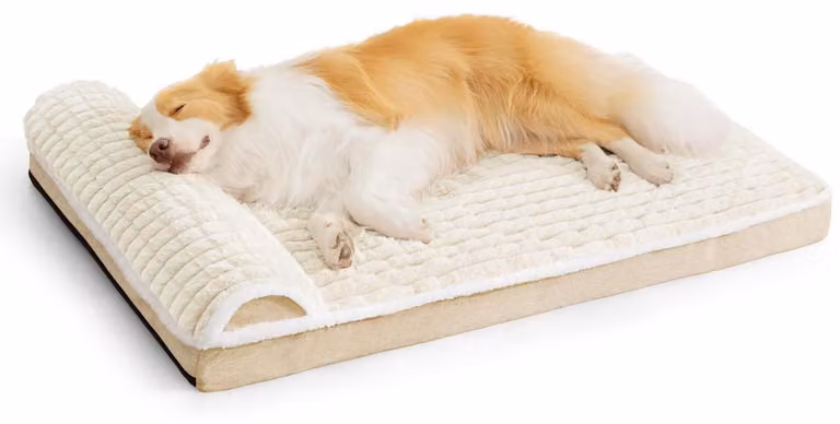 Cuccia ortopedica per cani con cuscino, 142x102 cm, color beige