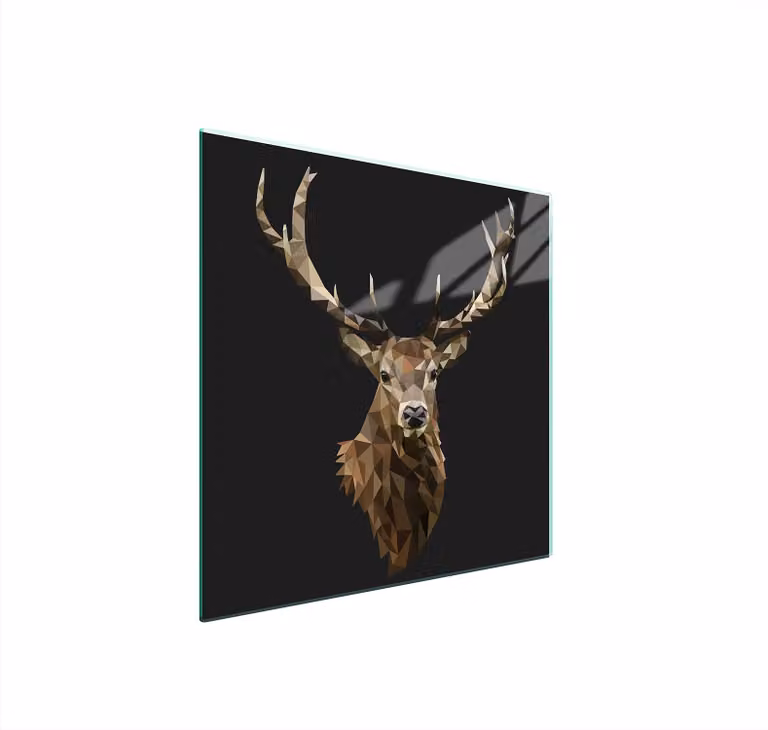 Piastra Di Protezione In Vetro Per Levatori 50X52 Hirsch