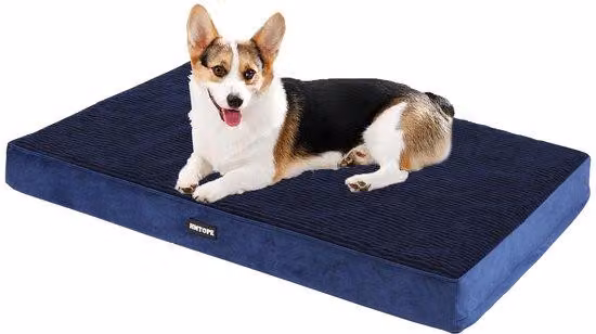 Cuccia ortopedica per cani, cuscino per cani di 9 cm di spessore per cani di taglia media, tappetino rimovibile e lavabile, fondo antiscivolo, imbottitura impermeabile, 91 cm, blu navy