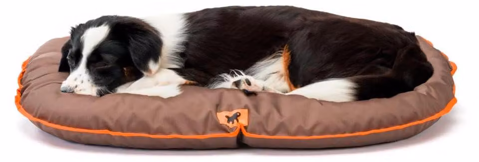 Cuccia per cani Ferplast Oscar 80 Brown 80 x 60 x 11 cm 81095012