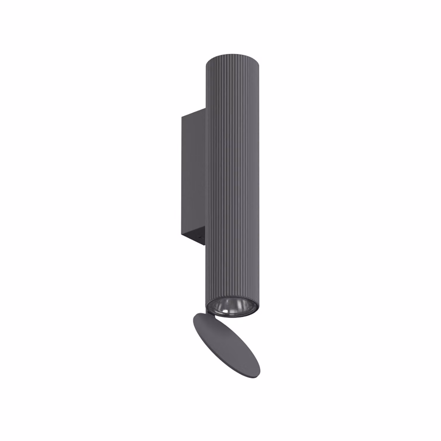 Flos - Flauta Riga 1 Dimmable DALI - Lampada da parete o soffitto da esterno - Antracite