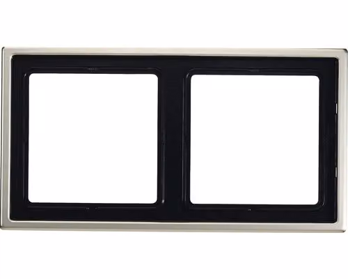 Jung ES 2982 Telaio di copertura a 2 ingressi in acciaio inox LS990