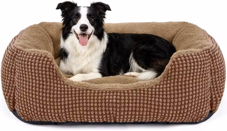 Cuccia per cani e gatti, dimensioni 76x61x23 cm, in peluche, lavabile, antiscivolo, per uso interno