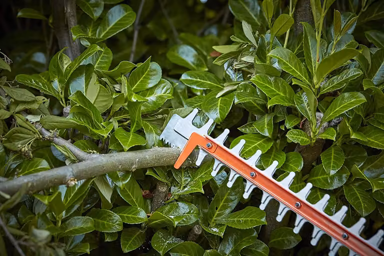 Black & Decker Akku-Heckenschere,36V o.Akku,55cm,Säge
