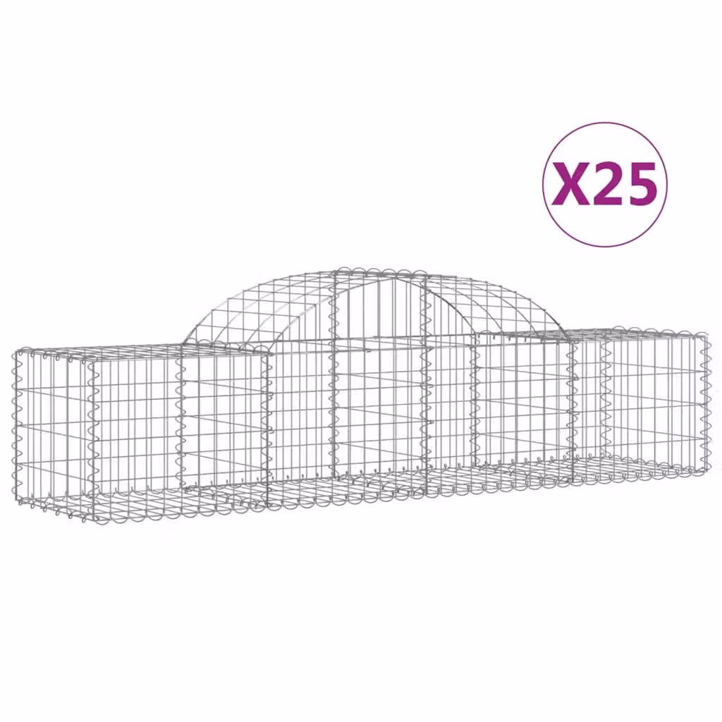 Cesti Gabbioni ad Arco 25 pz 200x50x40/60 cm Ferro Zincato