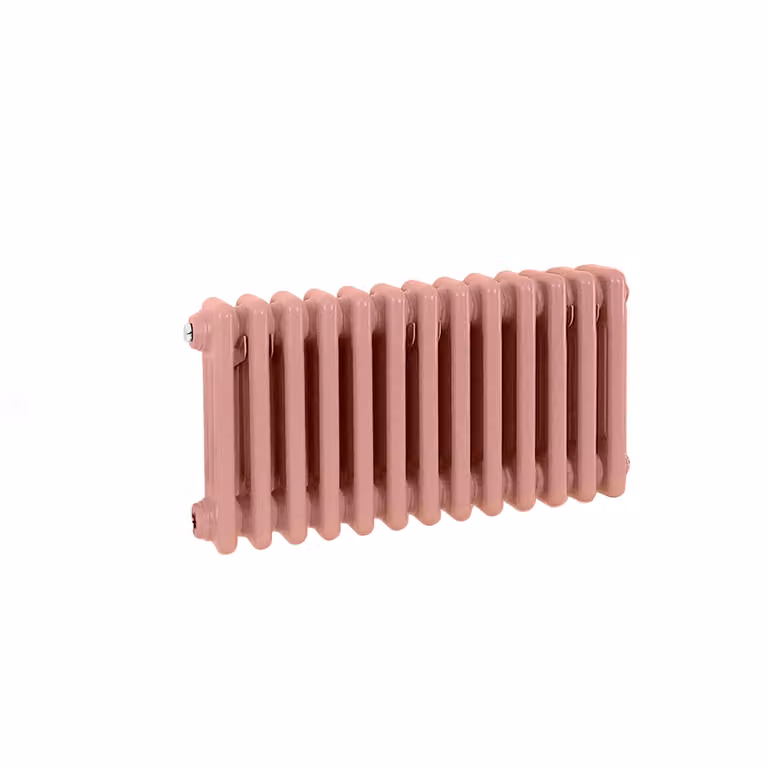 Radiatore Orizzontale a Colonne (2 Colonne) 300mm x 605mm - Rosa (Camellia Rosa) - Regent