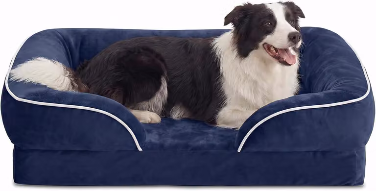Cuccia per cani, adatta a cani di taglia media, dimensioni 71 x 58 cm, ortopedica, lavabile, con memory foam e schiuma a cellule chiuse, lavabile, impermeabile, antiscivolo
