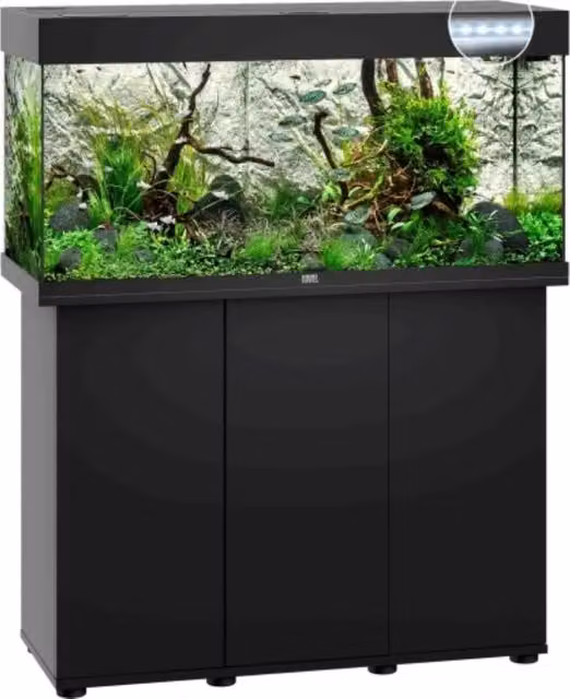 Acquista l'acquario Juwel Rio 180 LED di colore nero, con dimensioni L: 101 cm, P: 41 cm, H: 50 cm, senza supporto – 1