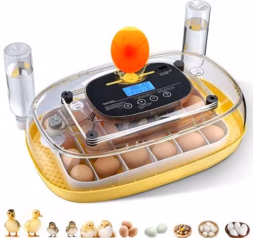 Incubatrice VEVOR per 24 Uova con Candela a LED, Display Temperatura e Umidità e Finestra Trasparente per Pulcini, Anatre e Oche, Gialla, L/P/H: 43,5 x 26,0 x 21,5 cm