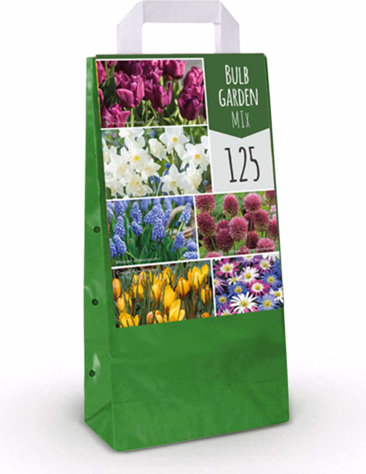 Bulbi da fiore - Miscela di bulbi da giardino - Vari tipi e colori - 125 pezzi - 20-50cm - Ø5cm - Pianta da giardino - Multideal