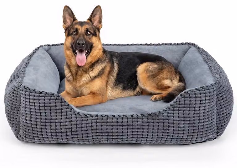 Cuccia per cani, taglia XXL, grigia, dimensioni 106x80x23 cm. Lavabile, con bordo rialzato e base antiscivolo