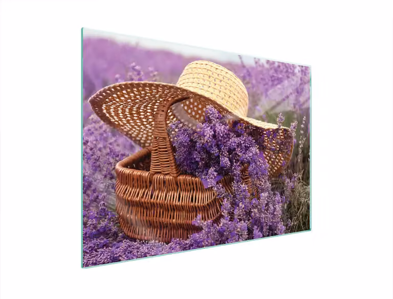 Piastra Di Protezione In Vetrina Per Levi 70X52 Lavendel
