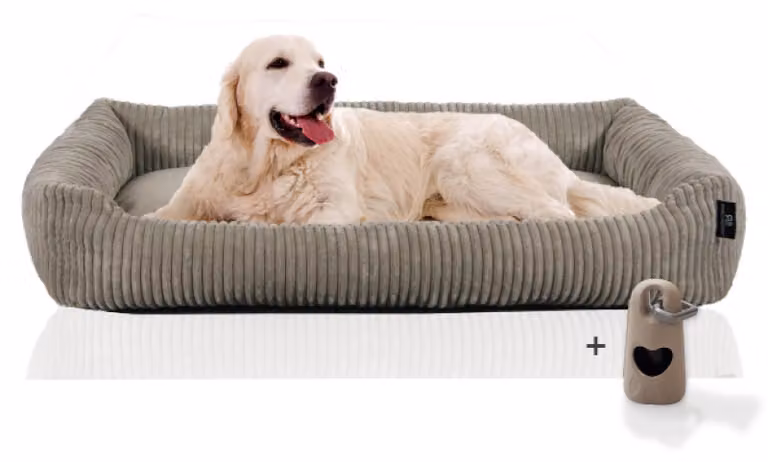 Tagliatubi Divano per cani di grossa taglia | Letto per cani in velluto a coste grande | Letto per cani XXL | Letto rialzato per cani | Letto per cani di facile manutenzione con cuscino 120x80 cm | Cuccola per cani morbida | Regali per gli amanti dei cani