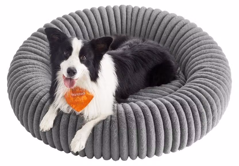 Cuccia per cani lavabile | Grigio tortora | 100x100x20 cm
