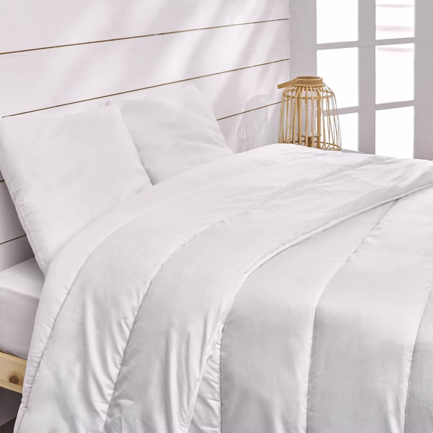 Copertura per letto antiacari e anti-cimici, dimensioni 240x260 cm, peso 400 g/m²