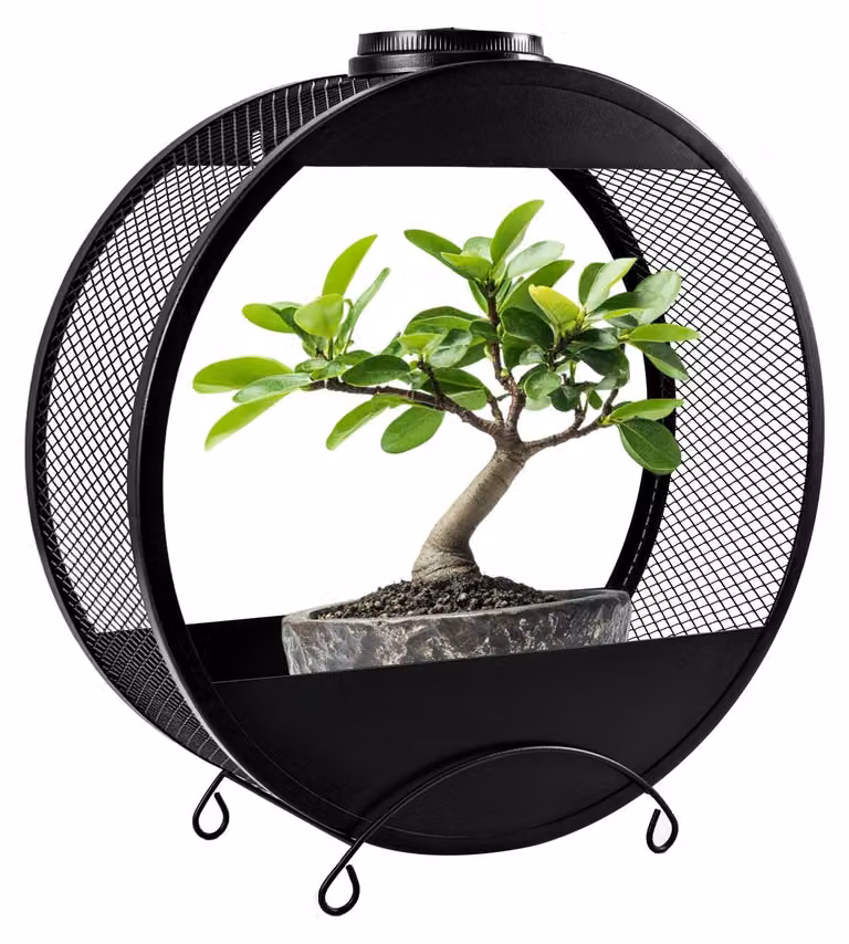 Lampada solare con supporto per piante, 2 modalità di illuminazione, colore nero, grado di protezione IP44, altezza 35 cm