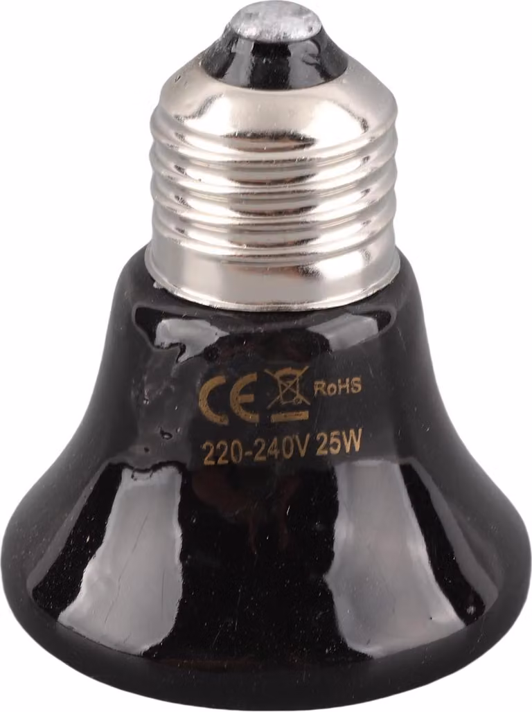 Lampada termica per rettili in Vetroceramica, mini riscaldatore a infrarossi per anfibi, lucertole e rettili, 220 V - 240 V