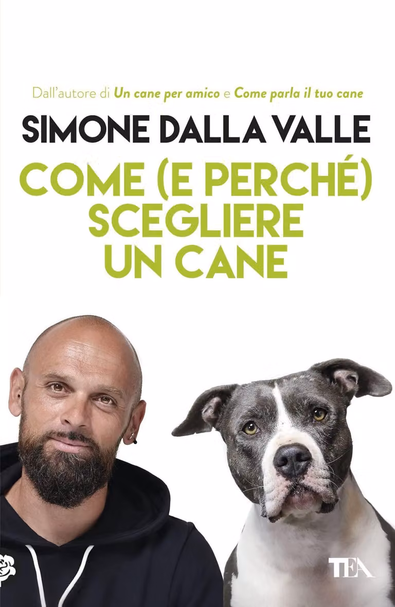 Guida all'acquisto di un cane: tutto ciò che serve per fare la scelta giusta