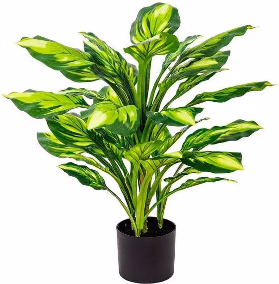 Set di 6 Piante Sintetica Hosta H65cm B co/verde In Vaso Plastica 35lvs