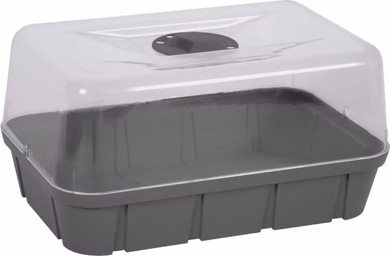EDA 013933 G.ANT CX EDA mini serra, misura L, volume: 15,7 L, antracite