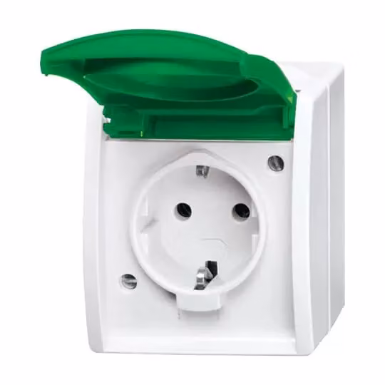 Busch-Jaeger 20 EWN-13-54 Presa SCHUKO®, con sportellino verde, bianco alpino