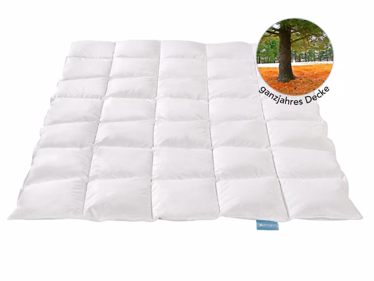 Piumino di alta qualità | medio | 155 x 220 cm | 90% piumino / 10% piume | peso del riempimento: 670 g | XDREAM Nature