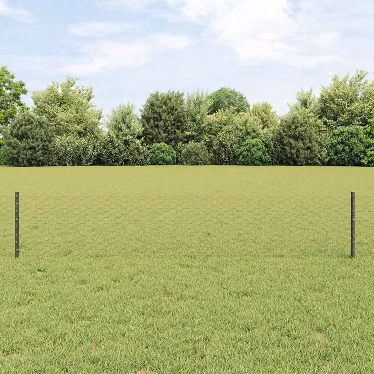 Maison Exclusive - Recinzione con Posto Grigio 0,4 x 10 m Acciaio e PVC